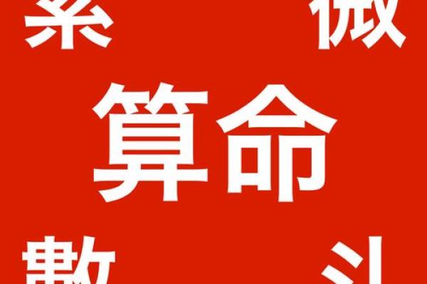 神巴巴紫薇斗数下载