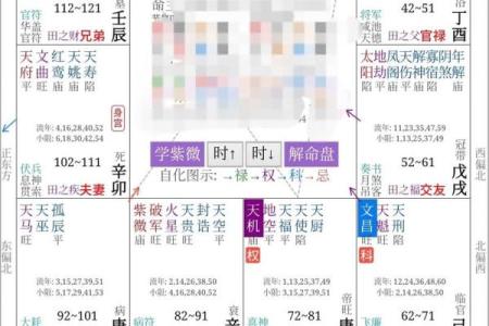 紫薇斗数廉贪巳亥二婚怎么样