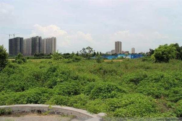 湛江买房子风水好吗贴吧