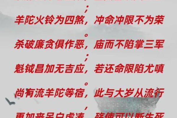 紫薇斗数文曲在申