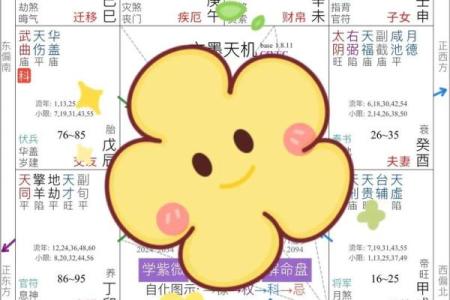 紫微斗数之岁限的经验论断：岁限应注意的几种凶格