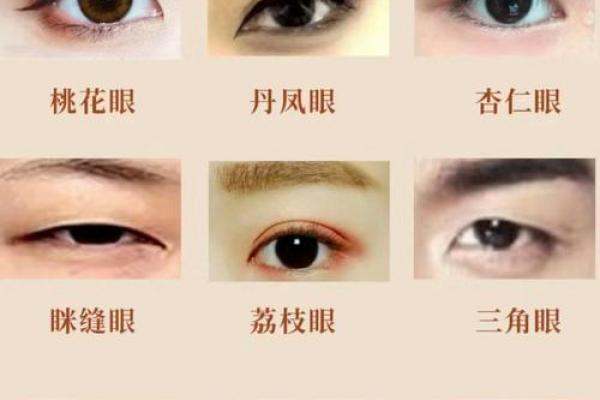 卧蚕眉算命好吗，卧蚕眉面相算命图解