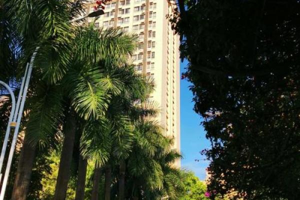 住房蜂巢风水好吗 住房蜂巢风水好吗