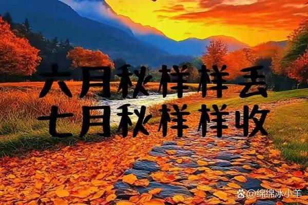 立秋八字互补  立秋属于阴历七月吗