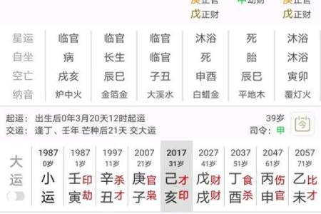 八字看疾病，八字看疾病解读