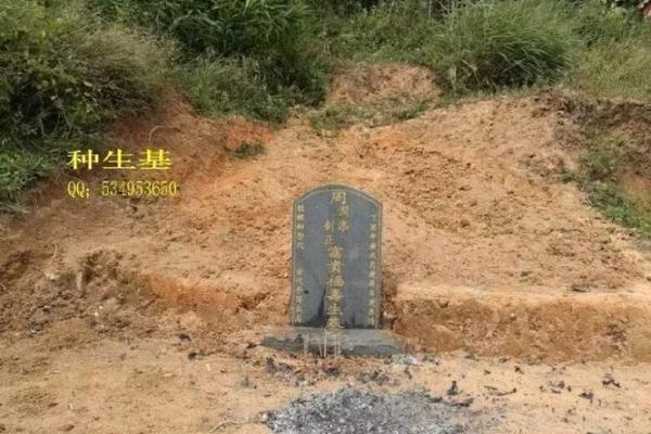 葬到风水宝地的预兆 葬到风水宝地的预兆