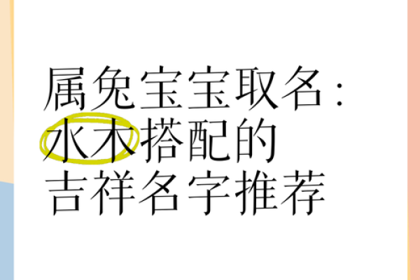 5月份出生的属兔女孩起什么名字好姓名