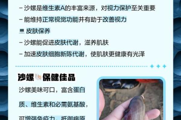 哪种贝壳风水作用