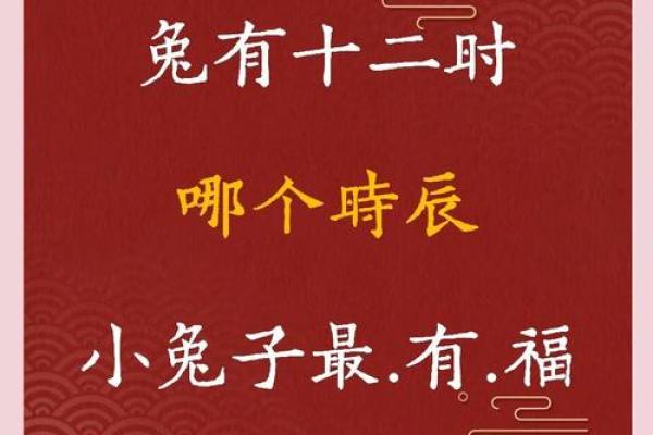 如何给亥时出生的属兔男孩起名最好姓名