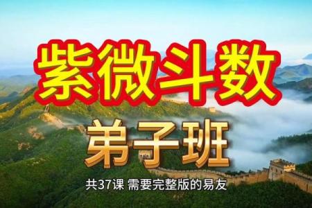 香港紫微斗数 香港紫微斗数培训班？
