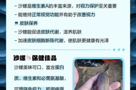 哪种贝壳风水作用