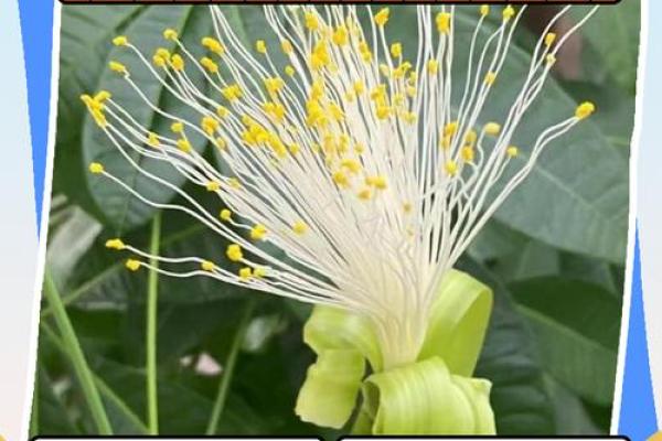 风水上一个人要发财的预兆有哪些