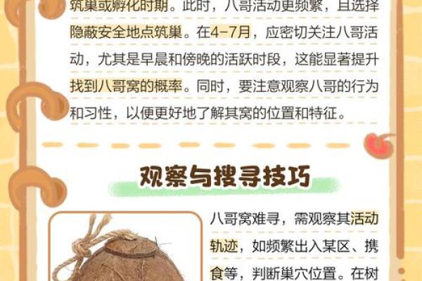 风水点穴_青蛙捕食穴应点在什么地方