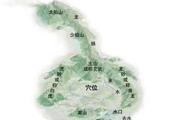 风水点穴_青蛙捕食穴应点在什么地方