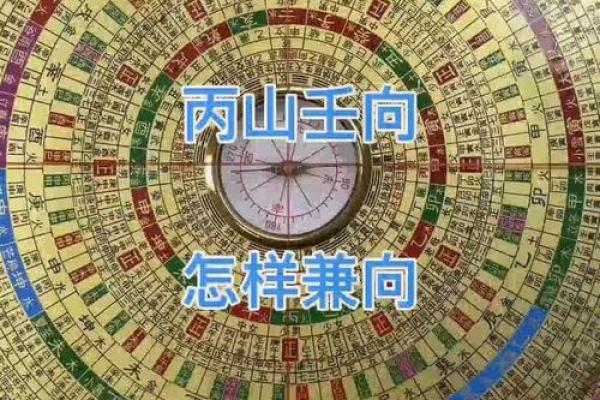 丙山壬向兼午子风水