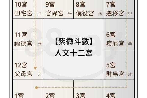 紫微斗数114种命盘