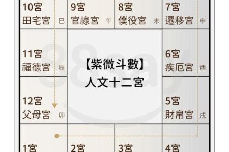 紫微斗数114种命盘
