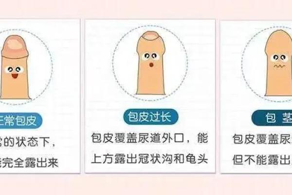 阴茎有痣算命