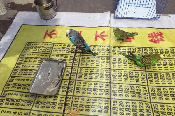 通州哪里算命 通州哪里算命