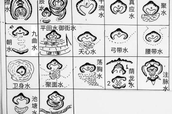 选墓地如何看最佳风水