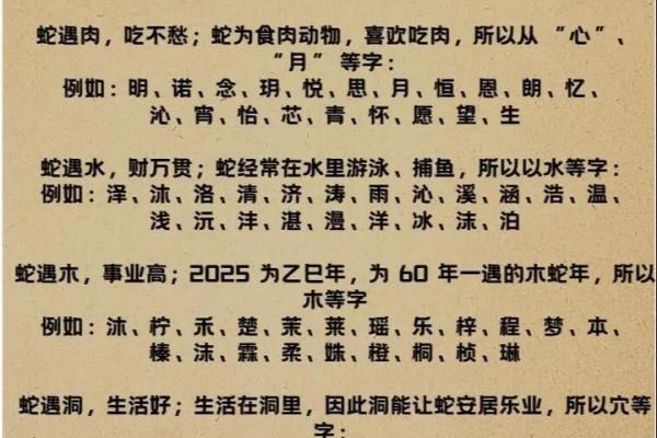 中午12点出生的属蛇男孩如何取名，宜用什么字姓名