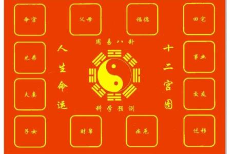 紫薇斗数卯宫对应