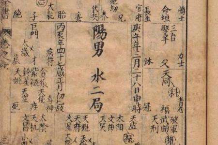 民间紫薇斗数高手