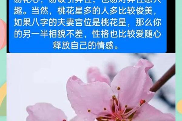 神煞里有桃花是什么意思,桃花神煞在四柱(详解 与桃花有关的八字命运)
