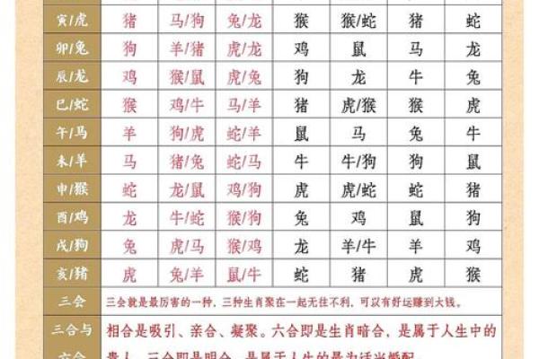 分析八字看配偶属相