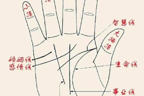 看手相算命：第六课 实际看