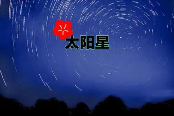 紫薇斗数太阳不得