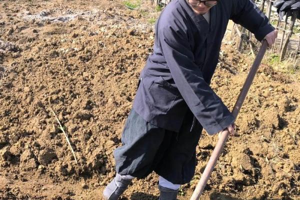 去道观请道士算命花钱吗可信吗 去道观请道士算命花钱吗可信吗