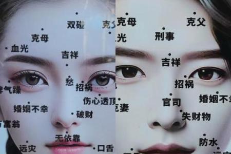 女人有黑观音痣 下巴的痣房屋多