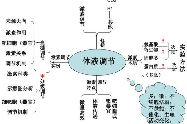 四种体液人格测试 你属于哪种体液人格 四种体液人格测试 你属于哪种体液人格