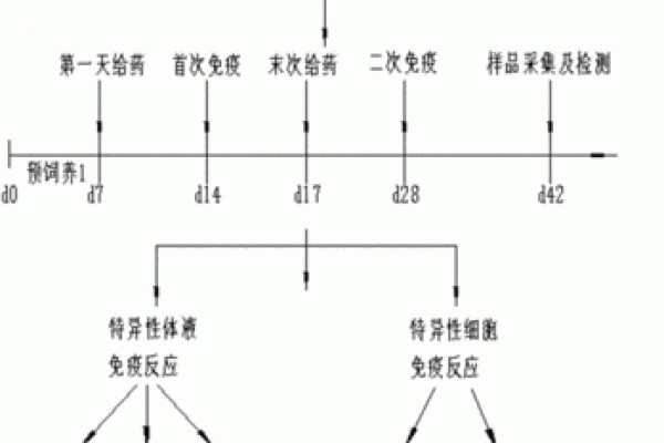 四种体液人格测试 你属于哪种体液人格 四种体液人格测试 你属于哪种体液人格