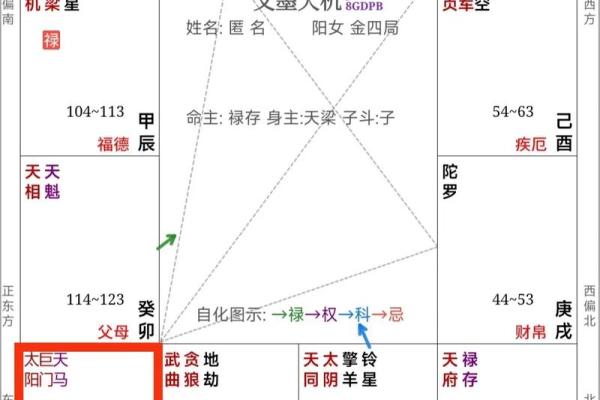 紫薇斗数领袖格局 紫薇斗数领袖格局