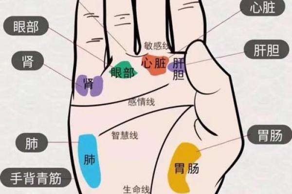 看手相算命:第五课 论健康 看手相算命:第五课 论健康