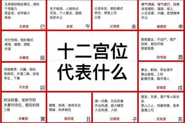 紫薇斗数 -_是什么意思 紫薇斗数 -_是什么意思