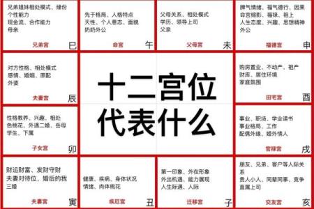 紫薇斗数  -_是什么意思