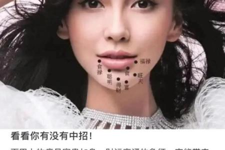 如何从女人下巴面相算命