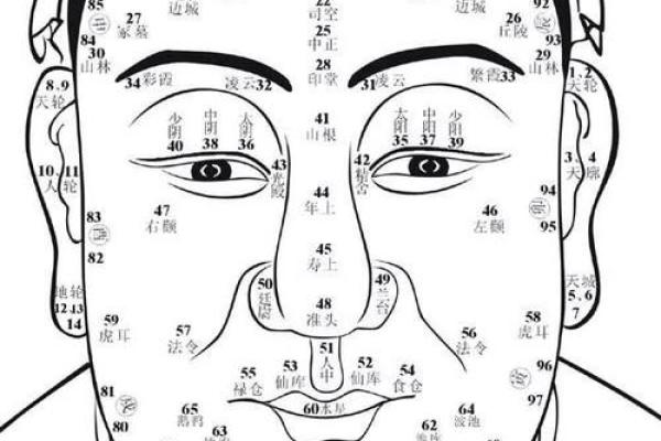 看头发面相知道运势 面相头发算命