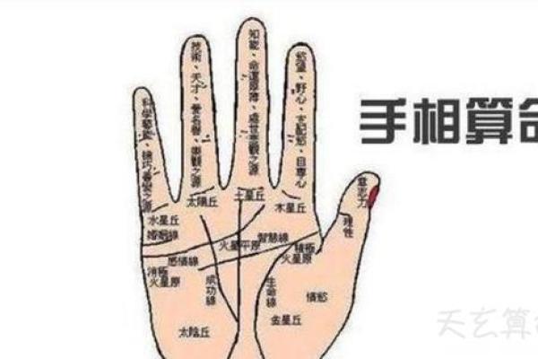 如何看掌纹线算命女性 智慧线长度适中进取心强 如何看掌纹线算命女性 智慧线长度适中进取心强