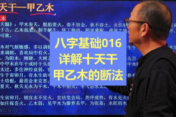 八字甲乙 八字甲乙