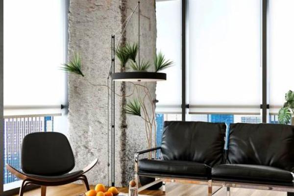 办公室风水布局怎么可以旺财