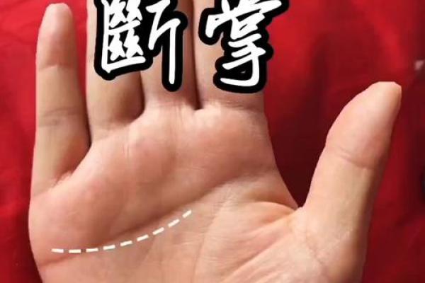 女人断掌手相算命图解 女人断掌手相算命图解