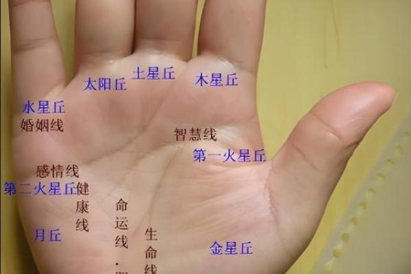 测试:食指无名指的长短决定你的一生,你的运势如何? 测试:食指无名指的长短决定你的一生,你的运势如何?