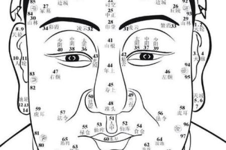 看头发面相知道运势 面相头发算命