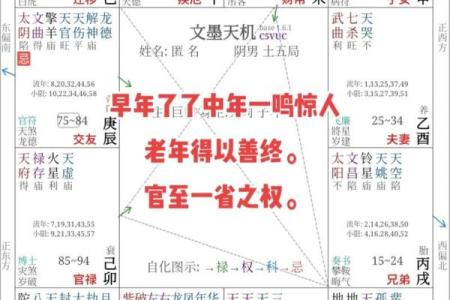 名人的紫薇斗数