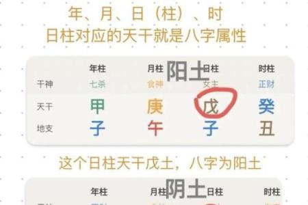 子平八字排盘最新版本下载,下载八字排盘宝官方版