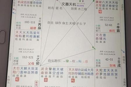 紫微斗数诸星落诸宫之：巨门星父母宫详解